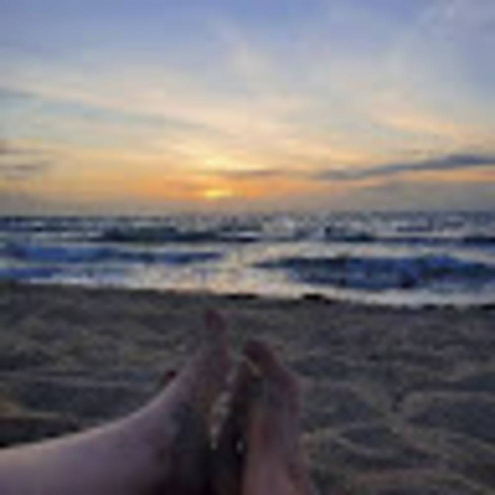 Meet your Posher, Stevie